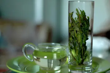 Balgam Söktürücü Bitkiler Nelerdir?